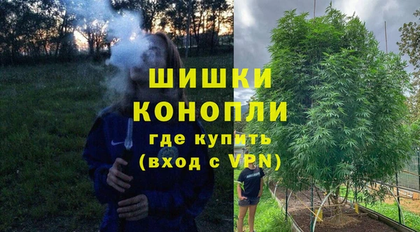 гидра Приозерск